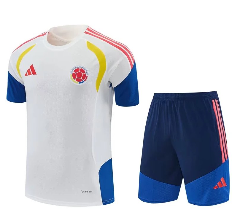 AAA Quality Colombia 26/27 White Training Kit Jerseys